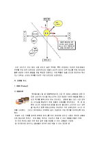 [마케팅] [마케팅원론]CJ `햇반` 마케팅전략 분석 및 경쟁력강화 방안(A+리포트)-9
