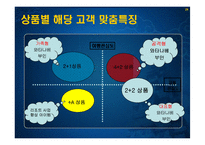 [마케팅] [마케팅관리]신규고객 창출을 위한 `대명리조트` IMC전략 방안(A+리포트)-20