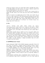 [지급결제제도] 지급결제(지급결제제도)의 유형, 지급결제(지급결제제도)의 원칙과 지급결제(지급결제제도)의 현황 및 네덜란드의 지급결제(지급결제제도) 사례 그리고 향후 지급결제(지급결제제도)의 전망 분석-13