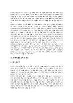 [MIDI] MIDI(컴퓨터음악, 전자음악)의 정의와 도입, MIDI(컴퓨터음악, 전자음악)의 기본신호와 현대적 가치, MIDI(컴퓨터음악, 전자음악)활용교육의 필요성과 장점, MIDI(컴퓨터음악, 전자음악)활용교육의 기대효과 분석-3