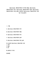 [칼스] 칼스(CALS, 광속상거래)의 의미와 목표, 칼스(CALS, 광속상거래)의 역사, 칼스(CALS, 광속상거래)의 효과, 칼스(CALS, 광속상거래)의 추진 실태, 선진국의 칼스(CALS, 광속상거래) 사례 및 시사점 분석-1