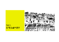 [중국어] 인정소설 과 금병매-2