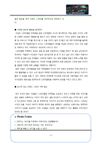 [문화관광론] 크루즈 상품개발-17