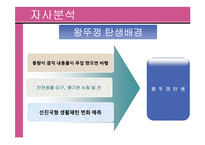 [광고홍보] 왕뚜껑 IMC 전략-9