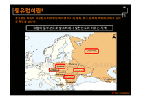 [국제경영] 대우의 신흥 시장 진출 전략 -대우자동차의 동유럽 진출 사례-10