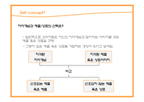 [소비자행동] 자아개념과 상표개성-5