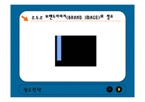 광고전략 레포트-13