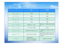 [국제물류] 선하 증권(Bill of landing)-9