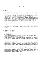 싸이월드 성공요인 및 마케팅전략-2
