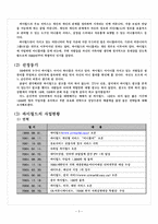 싸이월드 성공요인 및 마케팅전략-3