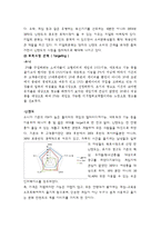 [경영전략] 게임시장 경쟁기업 핵심역량 비교 -닌텐도 소니 비교-9