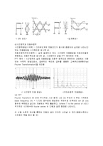 [기계공학실험] 외팔보의 연속체 진동-3