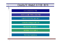 구글 등의 인터넷망에 대한 문제, 웹 2.0에 대한 문제-12