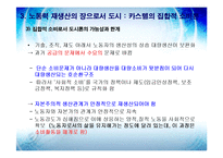 [도시행정] 신 마르크스주의 도시론-15