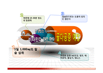 골다공증 치료, 운동법-17