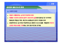 [행정사] 노무현 참여정부와 추진정책-13