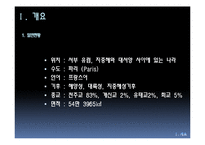 [비교행정론] 프랑스의 행정개혁-3