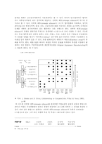 [국제경영전략]국제경영전략-6