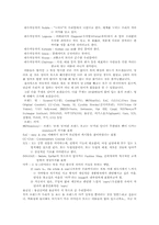 [매스미디어] 광고의 언어에서 브랜드, 제품이름에서의 외래어 사용-2
