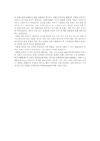 [매스미디어] 광고의 언어에서 브랜드, 제품이름에서의 외래어 사용-3