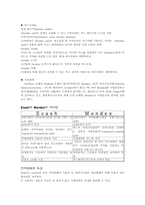 [전자상거래]전자상거래의 발전과 전망-19