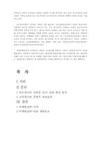 [철도경영] 인도네시아 고속철도분석과 향후 운영과 마케팅전략-11