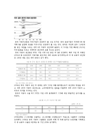 [국제무역] 중국자동차산업에 따른 한국시장의 대처방안-7