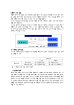 [글로벌국제경영] 국제경쟁전략 의미와 성과-4