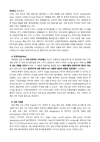 [경영전략] cj엔터테인먼트 수직적통합-7