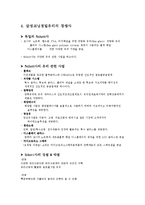 [국제경영] 삼성코닝정밀유리-9