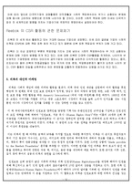 [국제경영] Reebok과 CSR-13