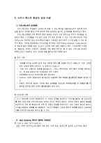 [인적자원관리론] 사우스 웨스트 항공사의 7S 모델분석-16