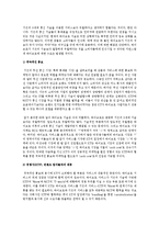 [경영정보] 무선통신시장에 승부수를 띄어라kT Wibro-12