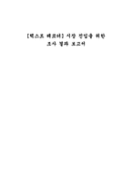 [해외시장조사론] 텍스트 레코더의 시장 진입을 위한 조사결과보고서-1