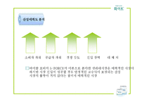 [마케팅전략] 여성용품 화이트 마케팅사례-5