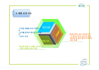 [마케팅전략] 여성용품 화이트 마케팅사례-6