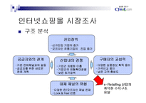 [인터넷비즈니스] cjmall의 성공전략-5
