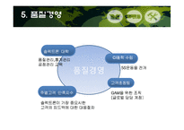 [품질관리] 솔렉트론-10