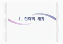 [국제경영] 전략적제휴의 사례-3