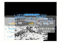 [조직행동] 지각-타인과 조직을 인식하기-5