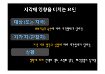 [조직행동] 지각-타인과 조직을 인식하기-6