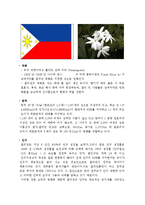 [국제사회] 필리핀-3