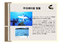[관광] 프랑스령 폴리네시아 - 보라보라섬의 상품가치 탐구-9