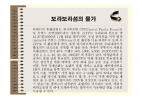 [관광] 프랑스령 폴리네시아 - 보라보라섬의 상품가치 탐구-11