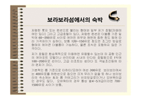 [관광] 프랑스령 폴리네시아 - 보라보라섬의 상품가치 탐구-13