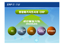 [생산관리] 삼성 SDI의 ERP System-5