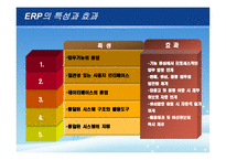 [생산관리] 삼성 SDI의 ERP System-6