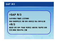 [생산관리] 삼성 SDI의 ERP System-13