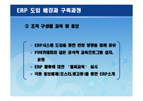 [생산관리] 삼성 SDI의 ERP System-20