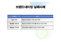 [소비자행동론] 브랜드네이밍-제품속성기법-10